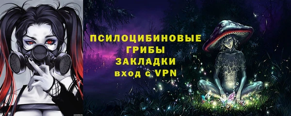 стафф Медвежьегорск