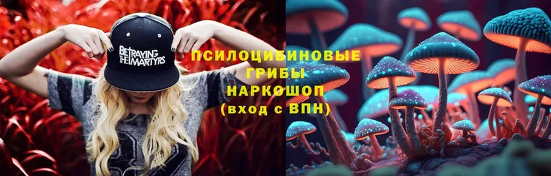 кракен как зайти  Разумное  Галлюциногенные грибы Psilocybine cubensis 