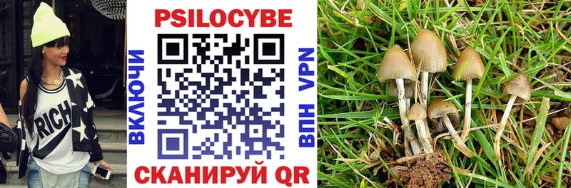 Псилоцибиновые грибы Magic Shrooms  Разумное 
